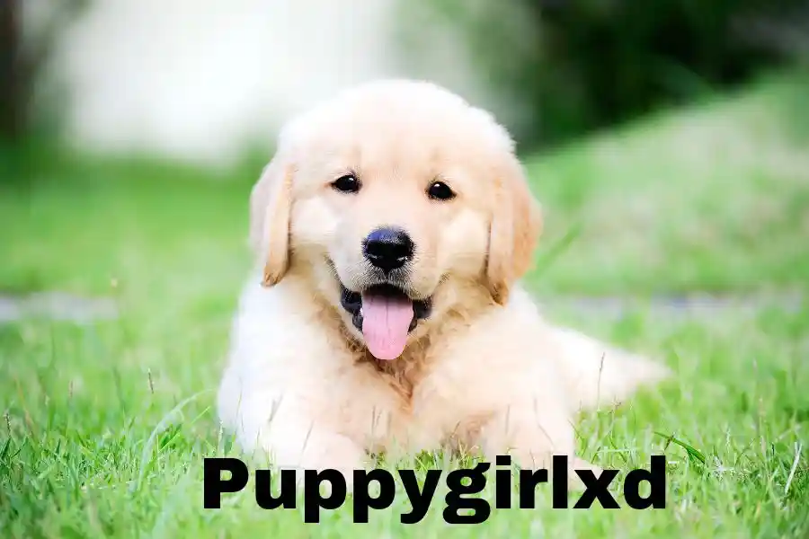 Puppygirlxd